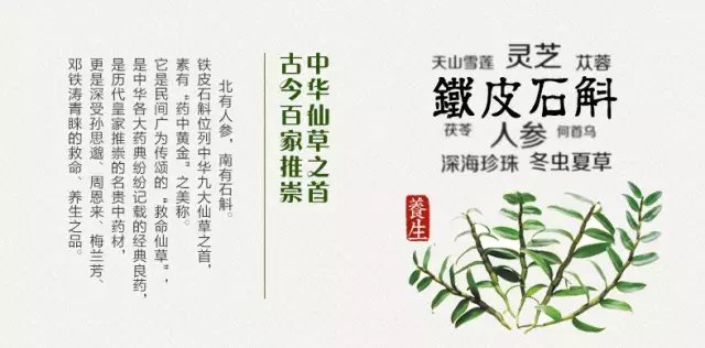 b03533fa828ba61eb6af75774a34970a304e5920.jpg b03533fa828ba61eb6af75774a34970a304e5920.jpg